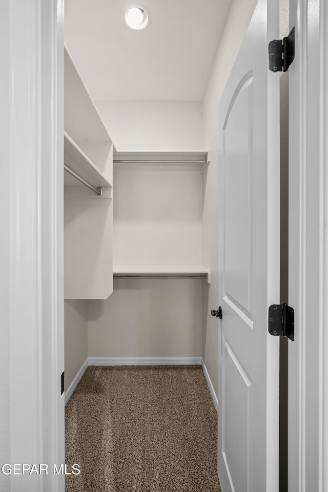 spacious closet with dark colored carpet