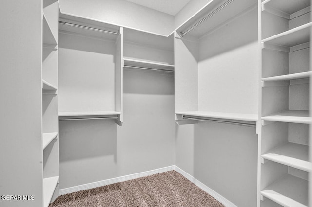 spacious closet with carpet flooring