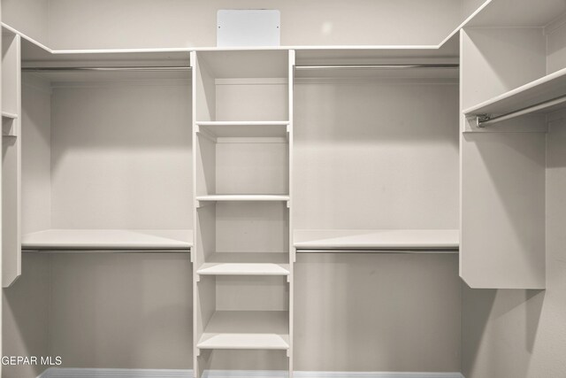 view of spacious closet