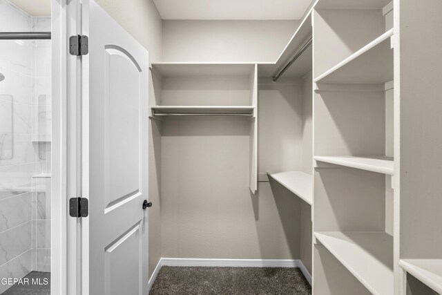 walk in closet with carpet flooring