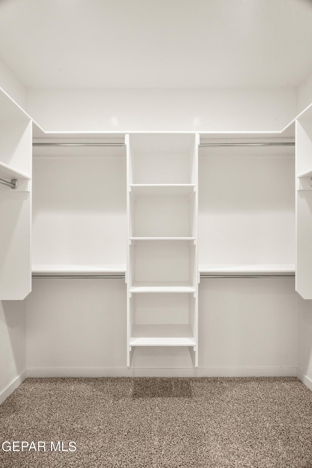 13870 Paseo Central Ave, Horizon City, TX 79928 - view of spacious closet