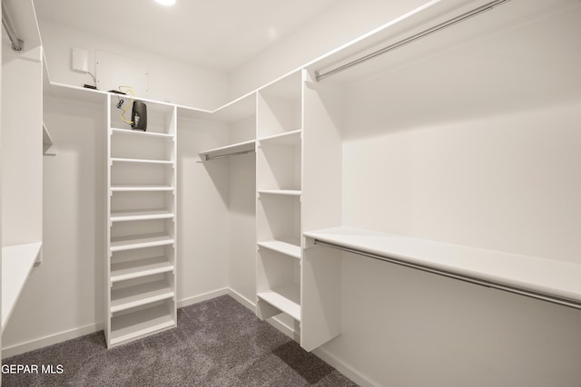 spacious closet featuring dark carpet