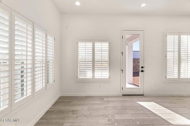 interior space featuring light hardwood / wood-style floors and a healthy amount of sunlight