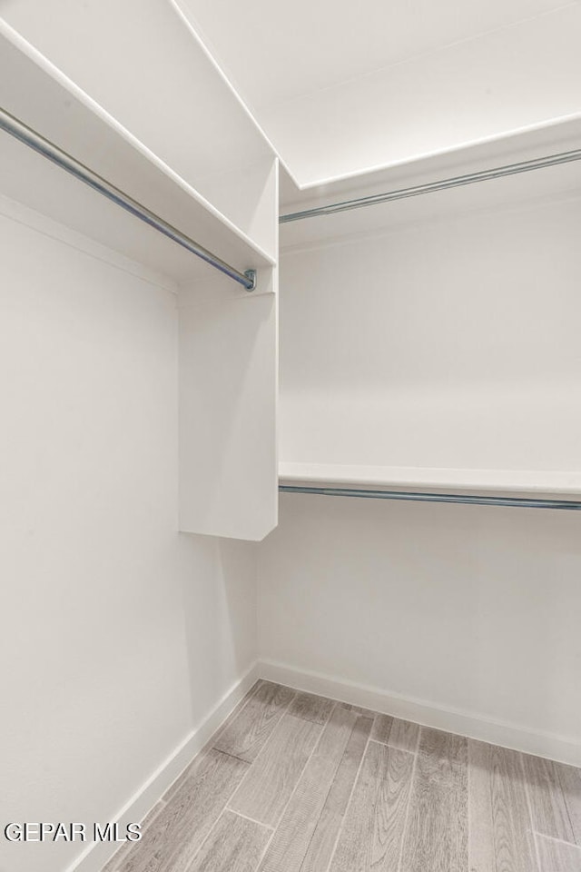 spacious closet featuring light hardwood / wood-style floors