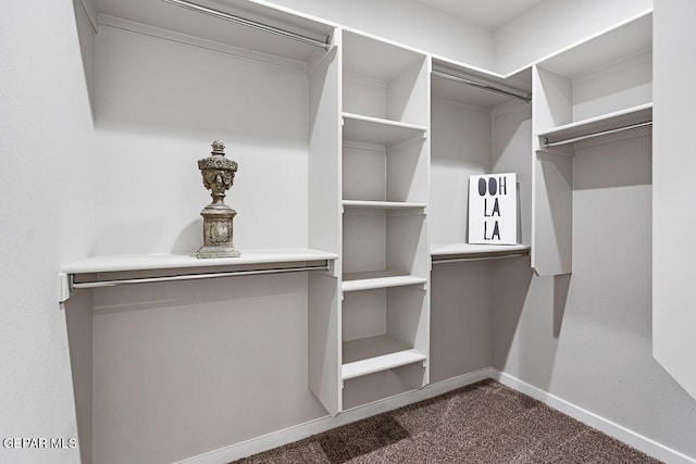 14953 Concept Ct, El Paso, TX 79938 - walk in closet with dark carpet