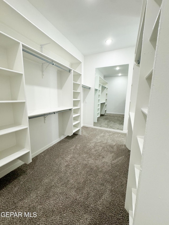 1783 Urijah Pl, El Paso, TX 79928 - walk in closet featuring carpet