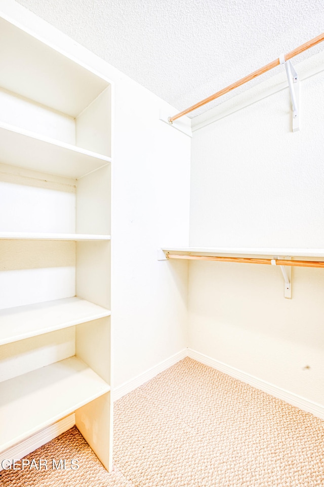 spacious closet with carpet flooring