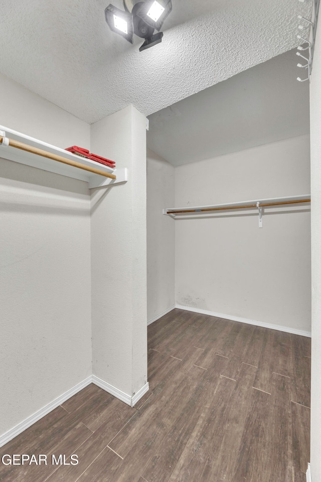 spacious closet featuring dark hardwood / wood-style flooring