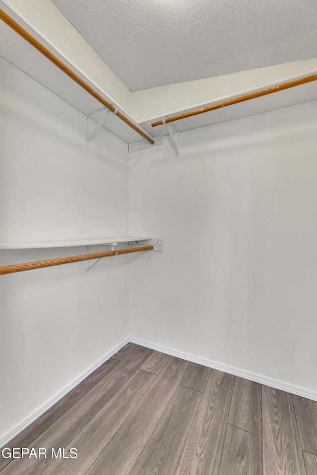 spacious closet with hardwood / wood-style flooring