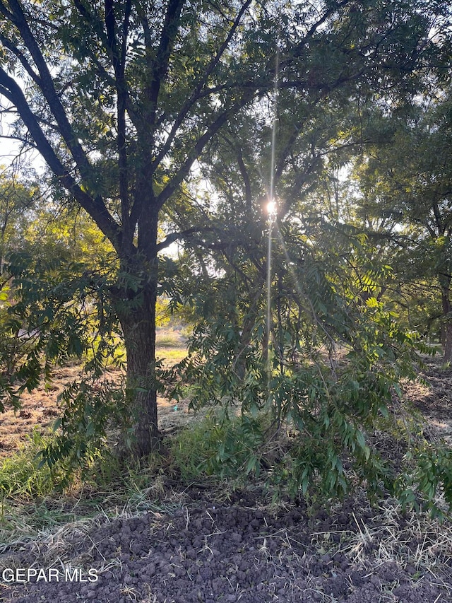 view of landscape