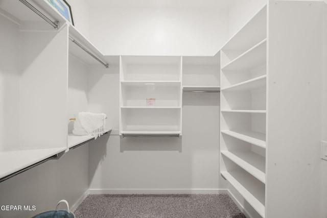 2300 Tierra Zaria, El Paso, TX 79938 - walk in closet featuring carpet flooring