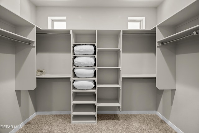 spacious closet with carpet flooring