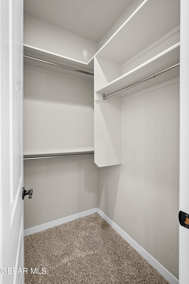 walk in closet with carpet