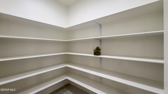 5844 Kobe Bryant St, El Paso, TX 79924 - view of storage area