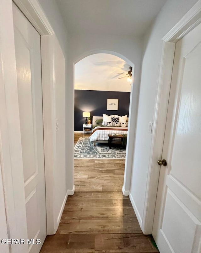 hallway featuring hardwood / wood-style flooring