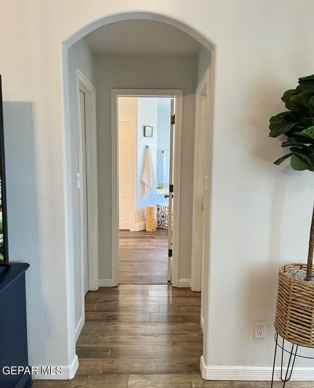 hallway featuring dark hardwood / wood-style floors