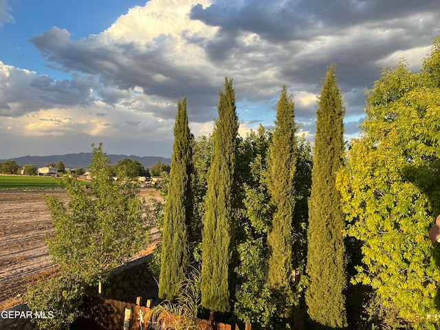 view of local wilderness featuring a mountain view