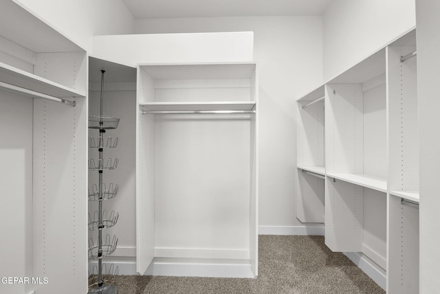 spacious closet featuring carpet