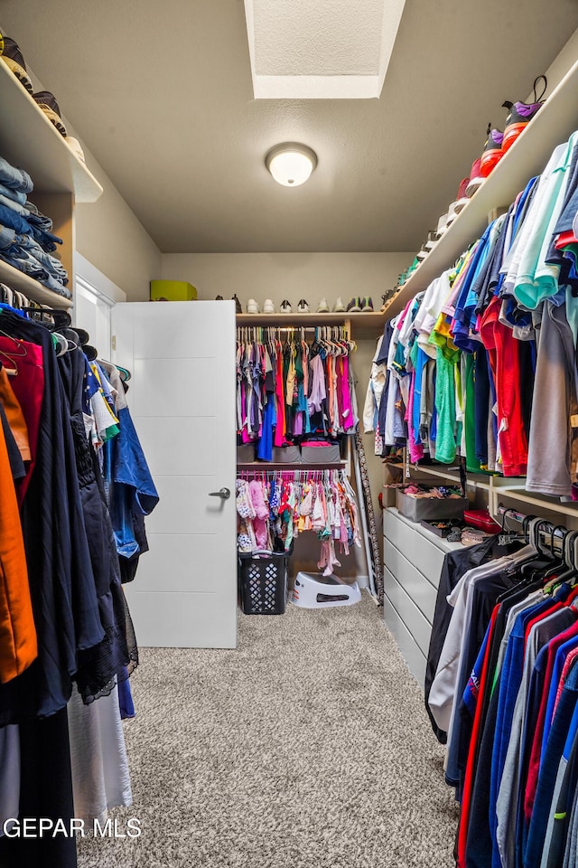 spacious closet with carpet floors