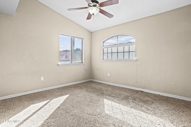 7085 Century Plant Dr, El Paso, TX 79912 - photo 23