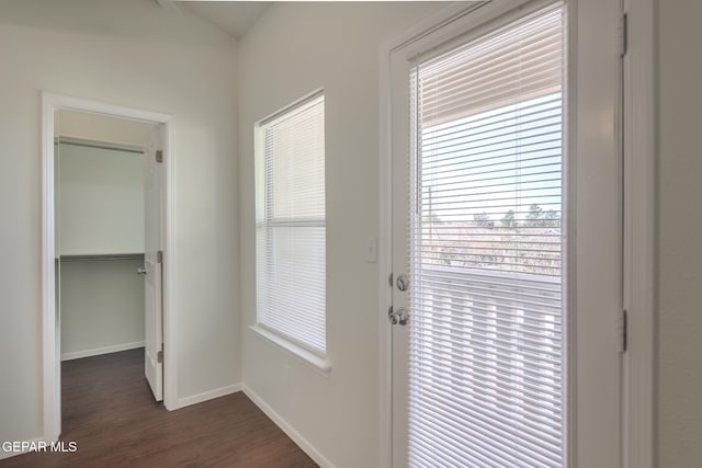 doorway to outside with dark wood-type flooring