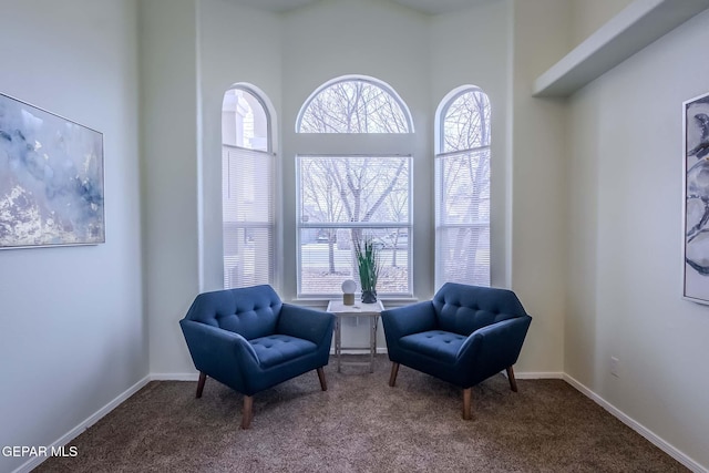 living area with carpet flooring and a towering ceiling