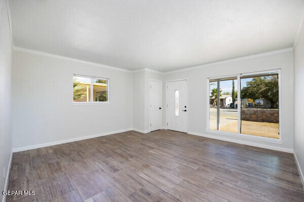 empty room featuring hardwood / wood-style flooring and crown molding