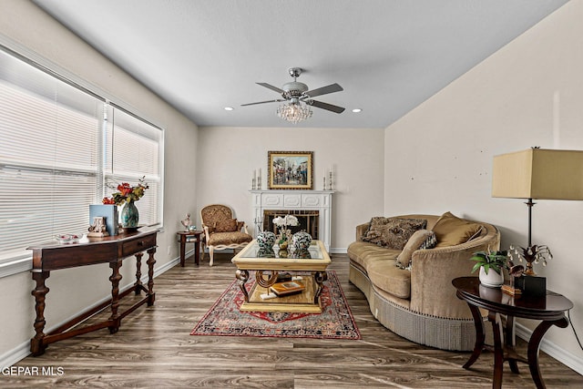 living room featuring ceiling fan and wood-type flooring