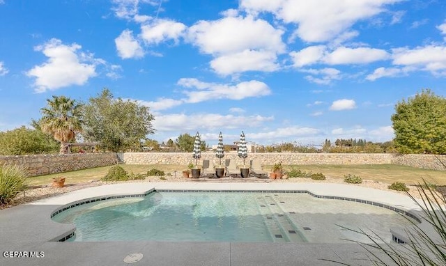 view of swimming pool