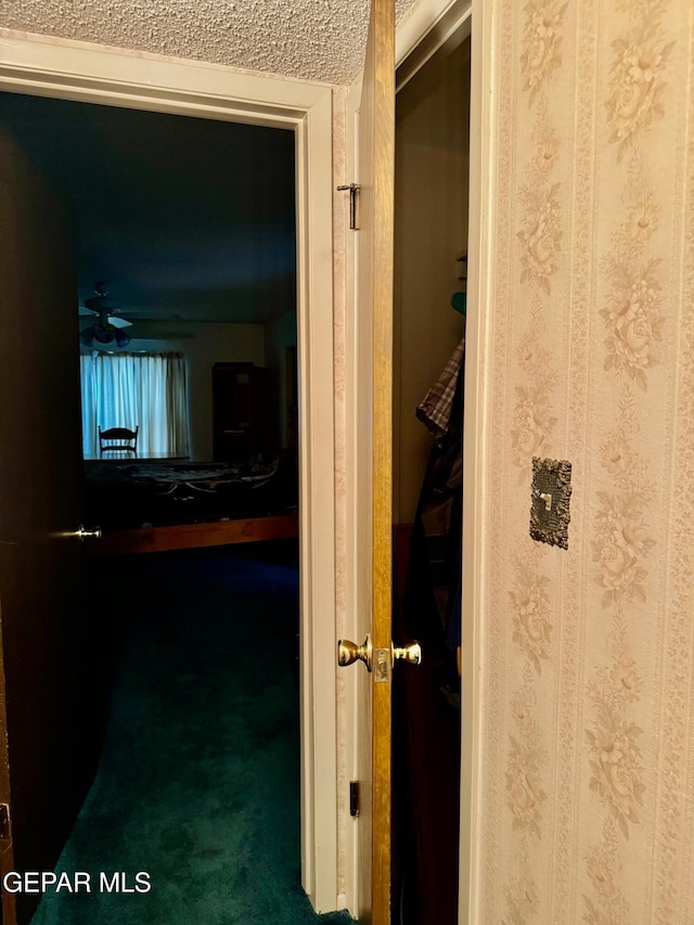 hall featuring carpet floors