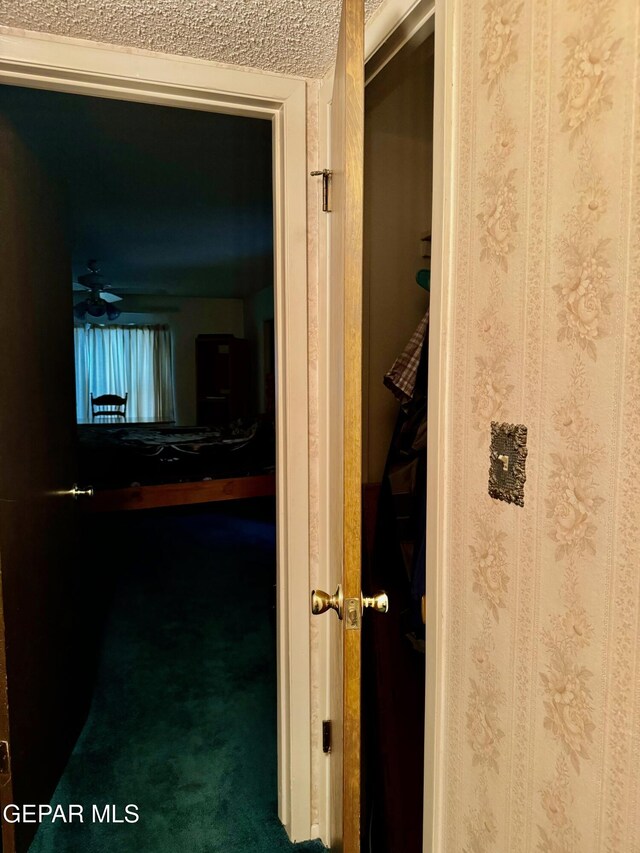 10521 Gaius Dr, El Paso, TX 79924 - hall with carpet floors