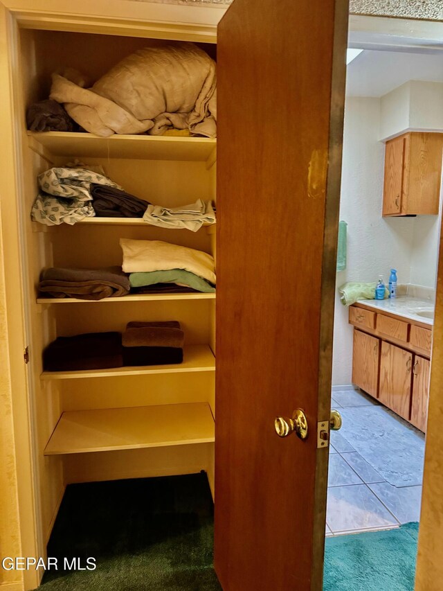 10521 Gaius Dr, El Paso, TX 79924 - view of closet
