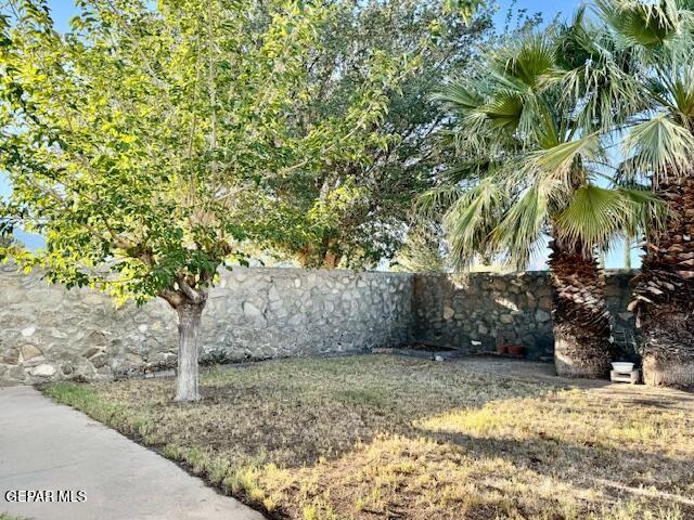 10521 Gaius Dr, El Paso, TX 79924 - view of yard