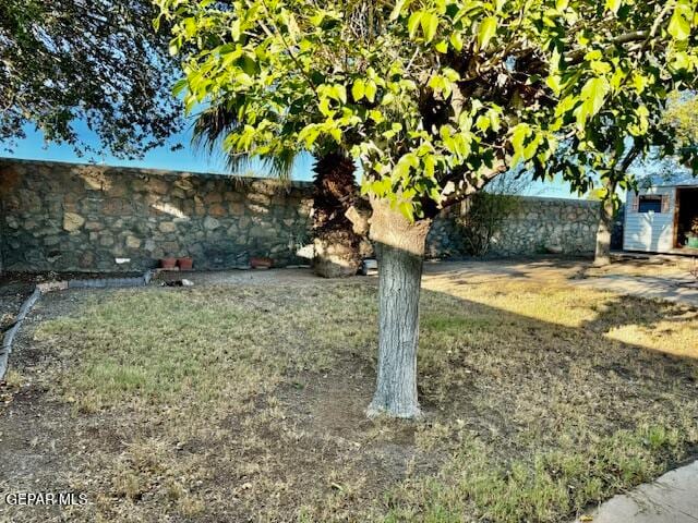view of yard