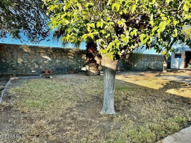 10521 Gaius Dr, El Paso, TX 79924 - view of yard featuring fence