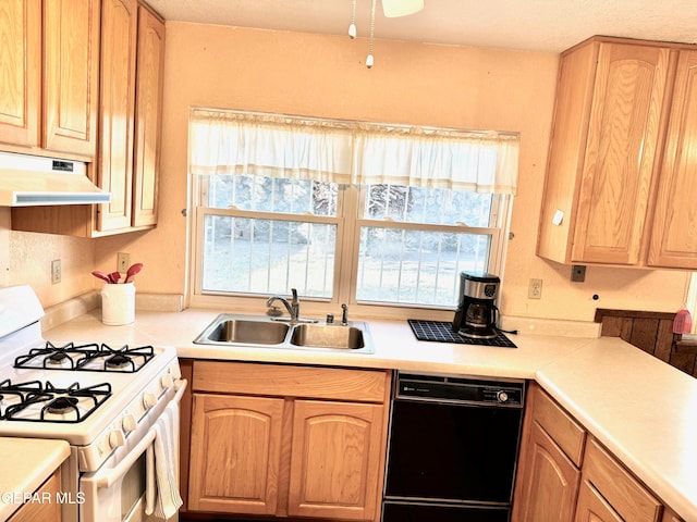 kitchen with dishwasher, a wealth of natural light, white range with gas cooktop, and sink