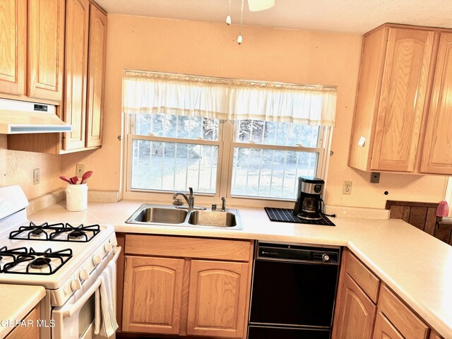 10521 Gaius Dr, El Paso, TX 79924 - kitchen with white range with gas stovetop, black dishwasher, under cabinet range hood, a sink, and light countertops