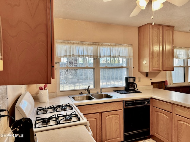 kitchen featuring dishwasher, a textured ceiling, sink, ceiling fan, and white gas stove