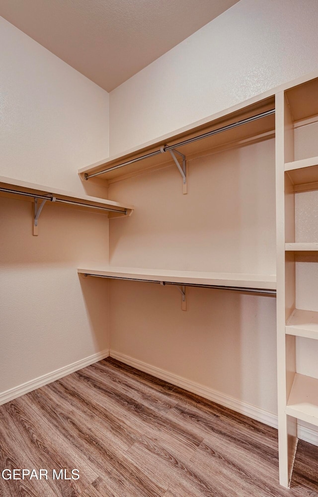 spacious closet with wood-type flooring