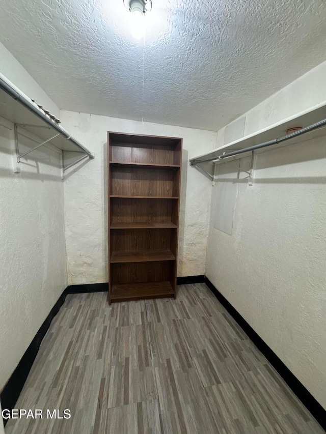 walk in closet with wood-type flooring