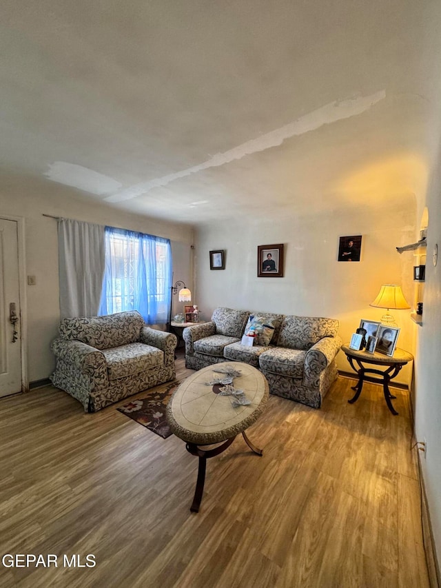 living room featuring hardwood / wood-style floors