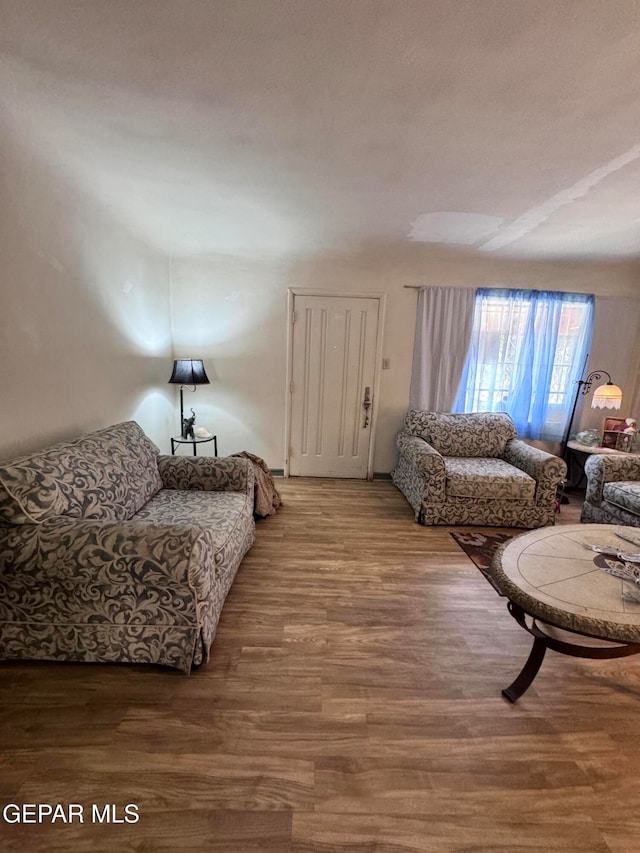 living room with hardwood / wood-style floors