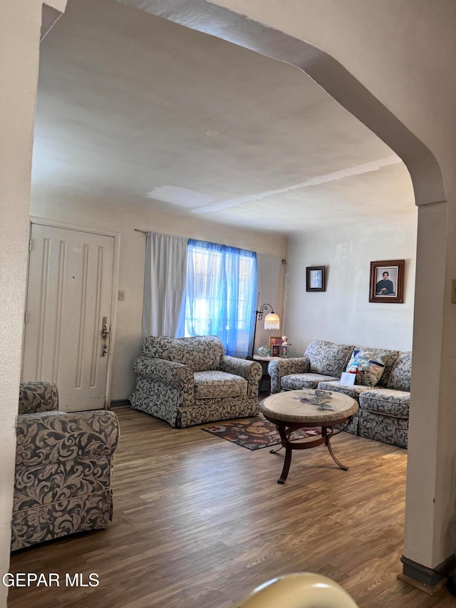 living room featuring wood-type flooring