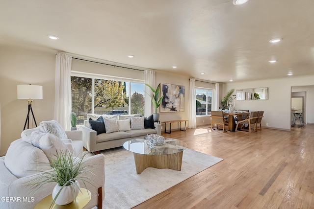 living room with light wood-type flooring and a wealth of natural light