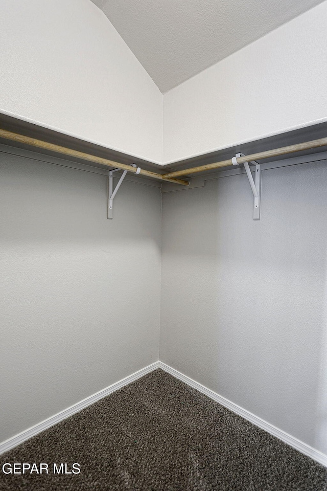 spacious closet featuring carpet