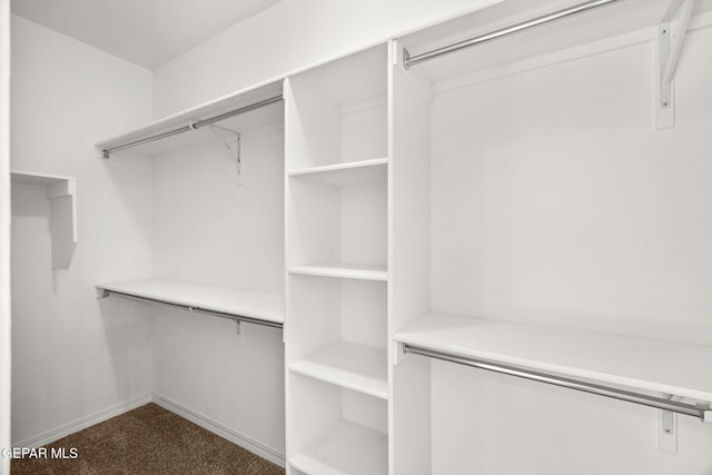 spacious closet featuring carpet floors