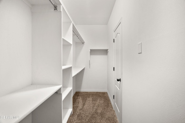 spacious closet featuring dark carpet