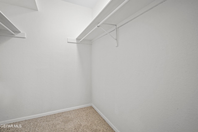 spacious closet with carpet flooring