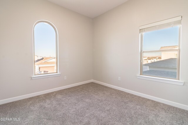 unfurnished room featuring carpet and a healthy amount of sunlight