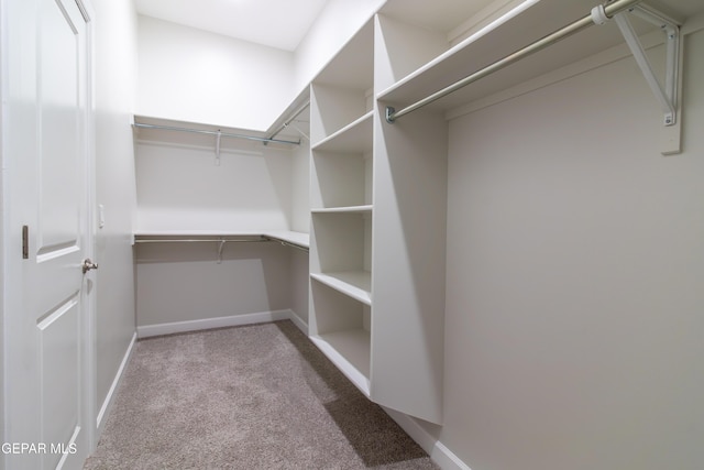 spacious closet with light colored carpet